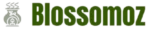 BlossomOZ.com